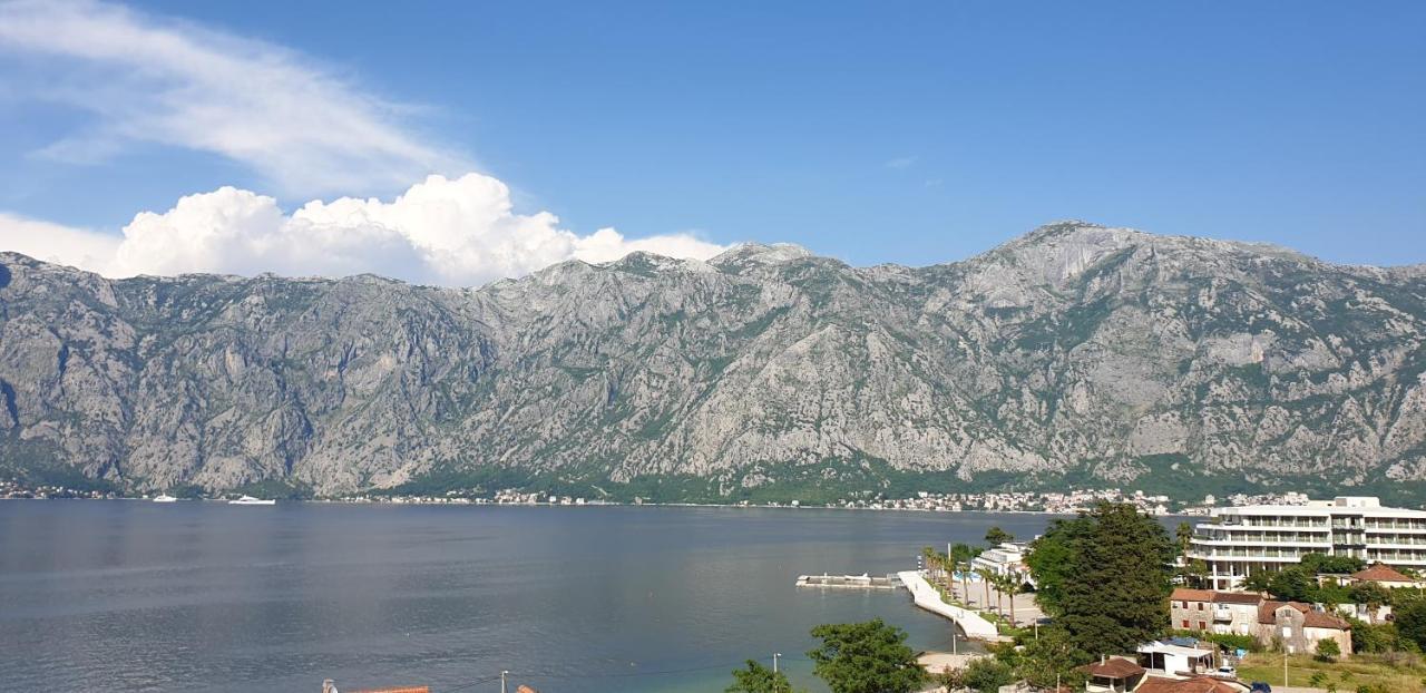 Apartments Scorpio Kotor Ngoại thất bức ảnh