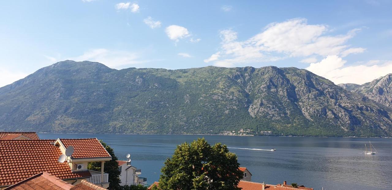 Apartments Scorpio Kotor Ngoại thất bức ảnh