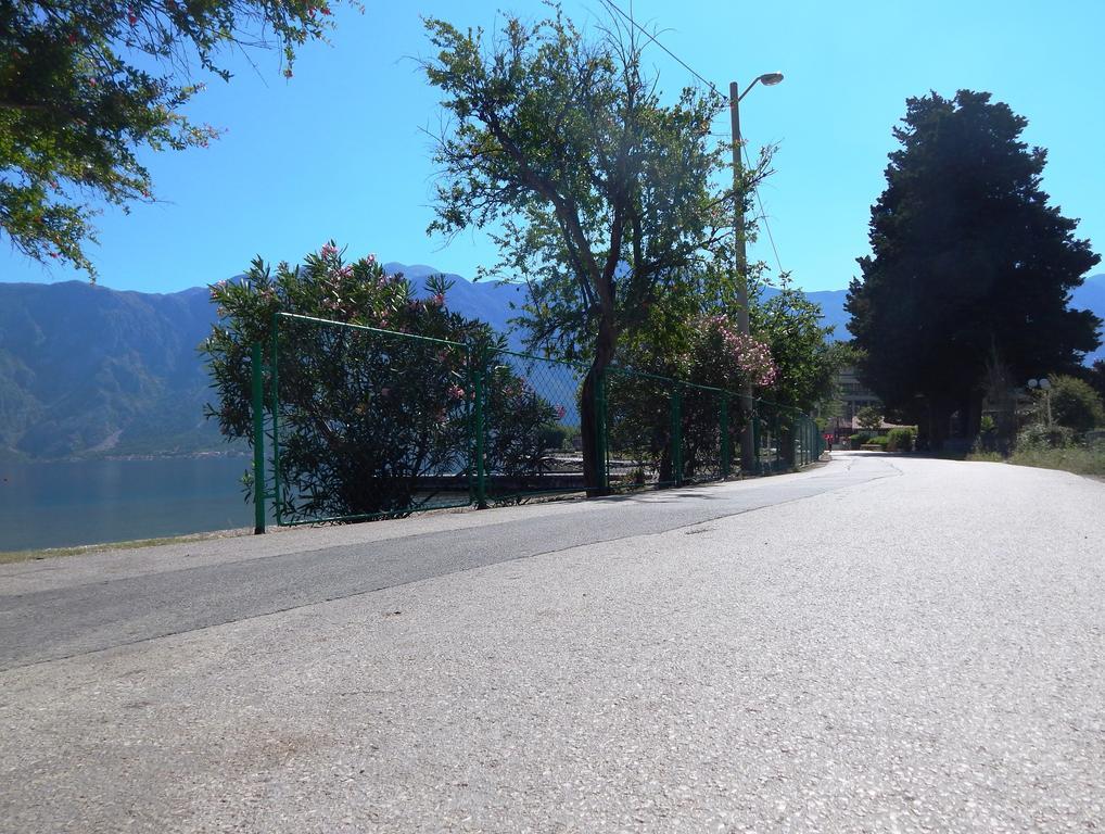Apartments Scorpio Kotor Ngoại thất bức ảnh