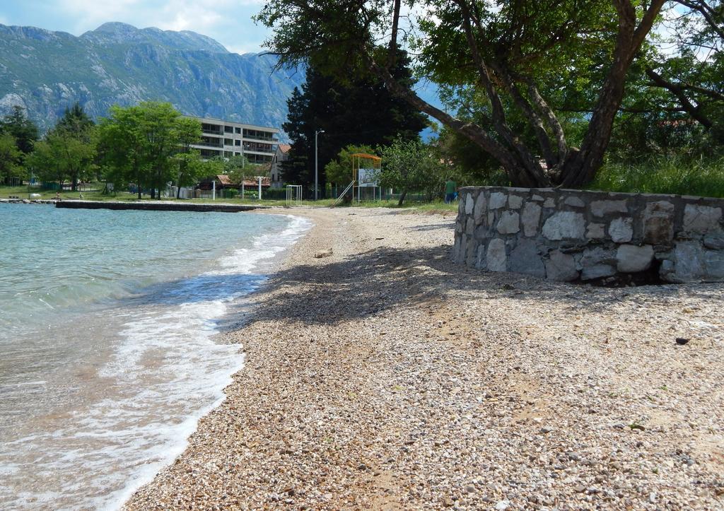 Apartments Scorpio Kotor Ngoại thất bức ảnh